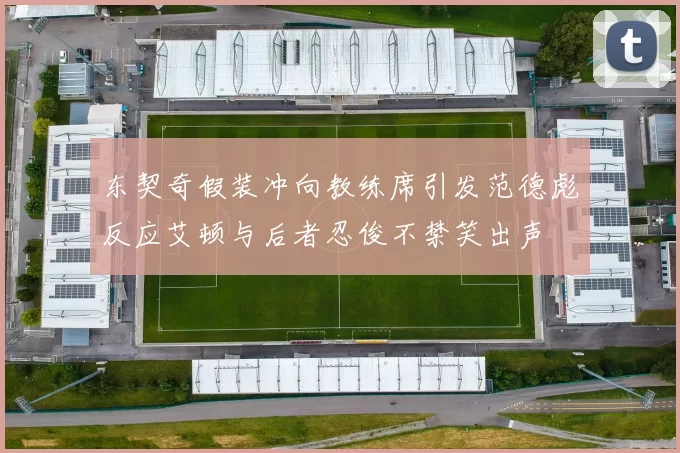 东契奇假装冲向教练席引发范德彪反应艾顿与后者忍俊不禁笑出声