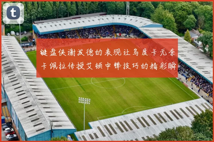 键盘侠谢泼德的表现让乌度卡无奈卡佩拉传授艾顿中锋技巧的精彩瞬间