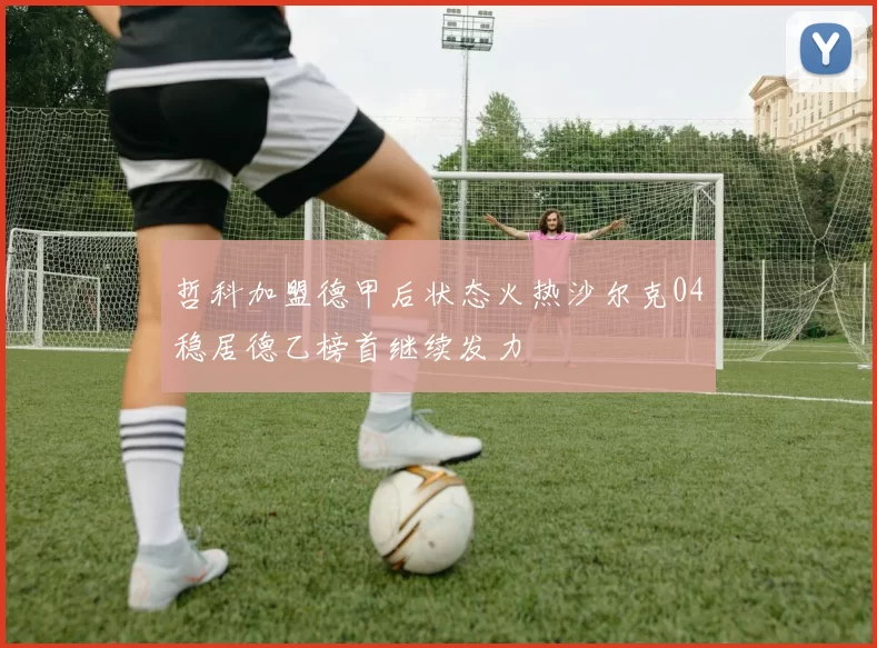 哲科加盟德甲后状态火热沙尔克04稳居德乙榜首继续发力